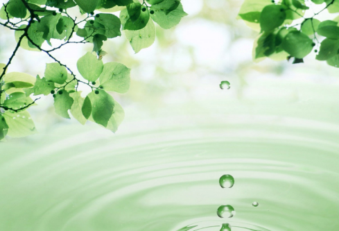 1689081078637726.png image.png