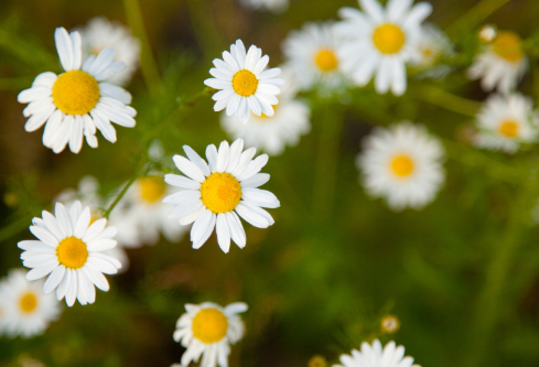 1689082078445606.png image.png