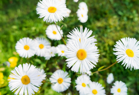 1689084575421316.png image.png