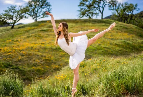 1691050384527048.png image.png