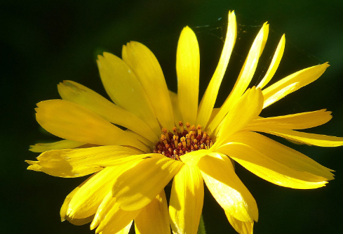 1691079388601133.png image.png