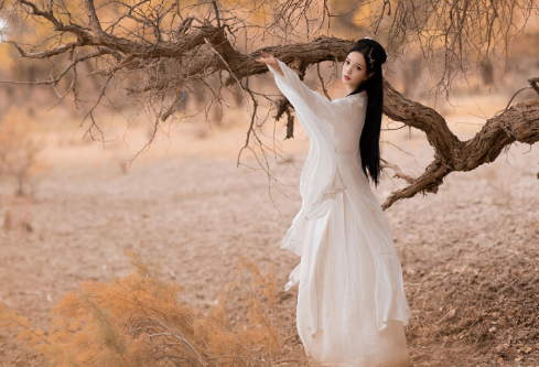 1691096151192314.png image.png