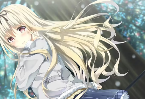 1691097810332458.png image.png