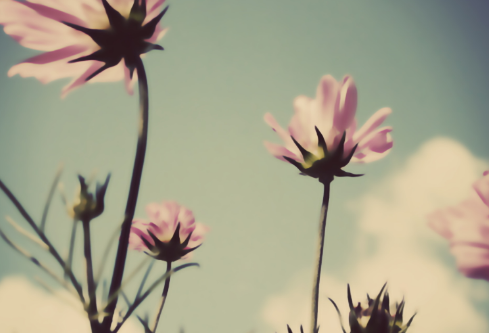 1691103119817572.png image.png