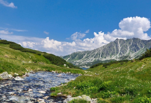 1691103617513557.png image.png