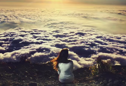 1691103782285715.png image.png