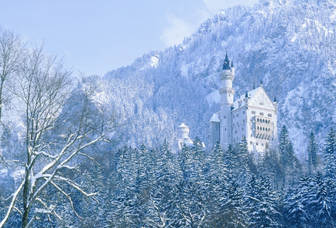 1691112754560944.png image.png