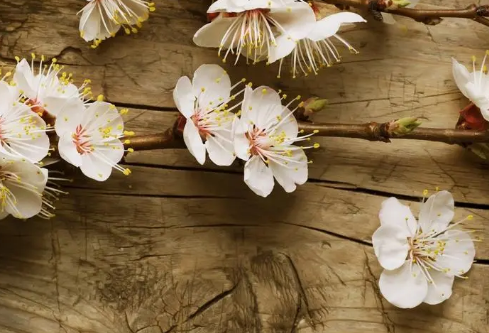 1691114745661890.png image.png