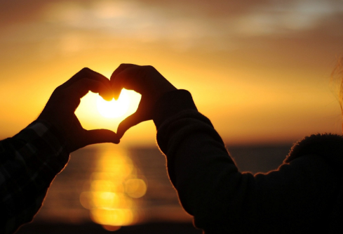 1691116902214060.png image.png