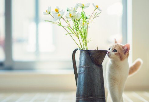 1691118575827212.png image.png