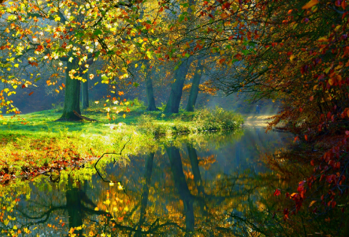 1691119239718889.png image.png