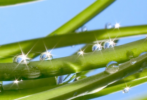 1691120069650856.png image.png