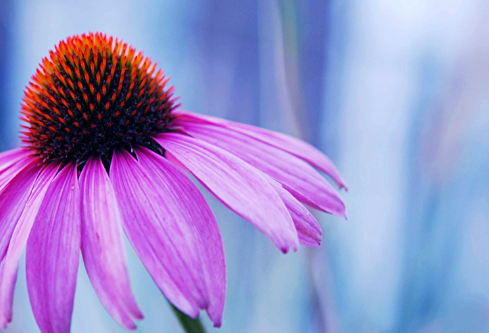 1691121397193780.png image.png