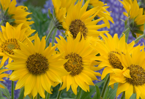 1691121563825410.png image.png