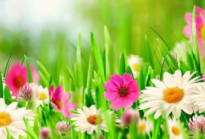 ​数字宝宝故事（十个数字的故事）