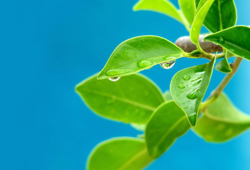 1691123055962828.png image.png