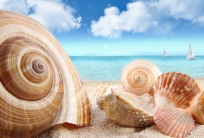 ​不爱睡觉的小猴子故事大全（儿童故事2分钟）