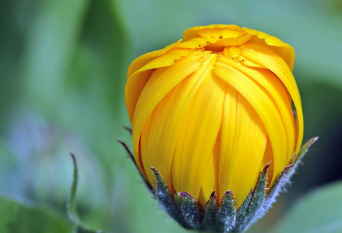 1691125377615994.png image.png