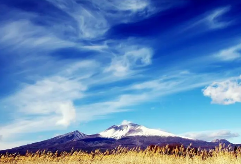 1691129857216613.png image.png