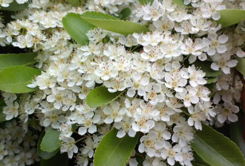 1691133353636945.png image.png