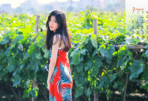 1691405334155720.png image.png