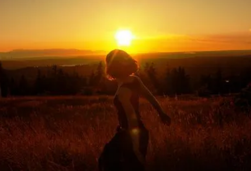 1691427566618590.png image.png