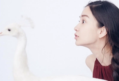 1691427897547284.png image.png