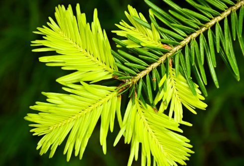 1691735837926071.png image.png