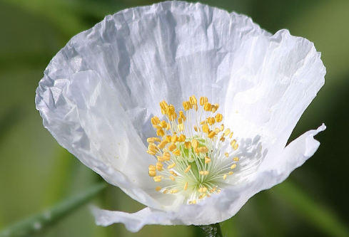 1691736169649333.png image.png