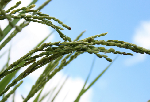 1691736833616077.png image.png