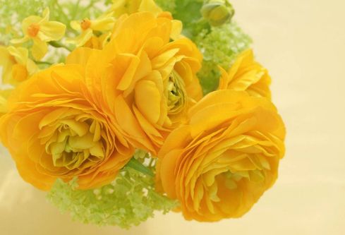 1691738161640174.png image.png