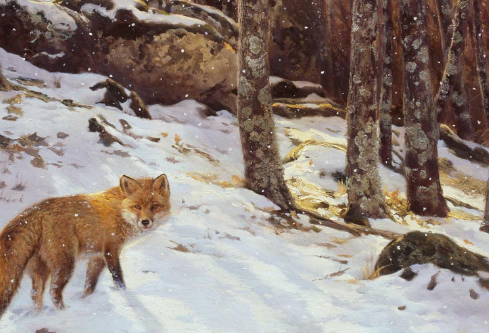 1691739322299964.png image.png