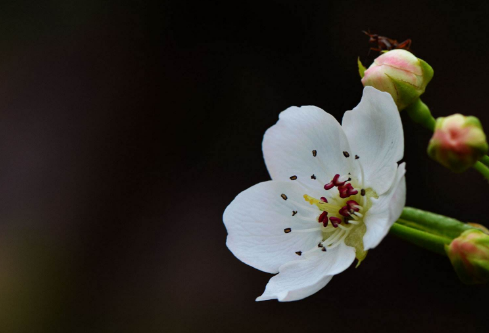 1691739820699301.png image.png