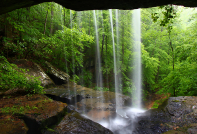 ​大学四六级英语作文范文