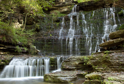 1691768528999498.png image.png