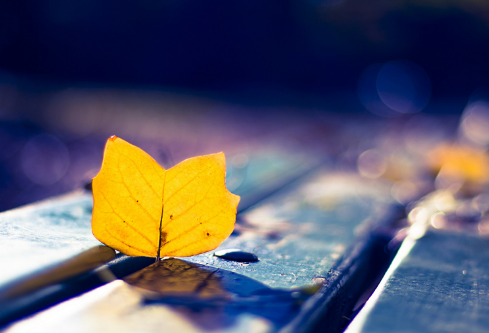 1691768860878575.png image.png