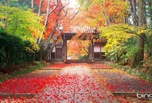 1691769523400367.png image.png