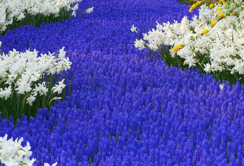 1691769689417780.png image.png