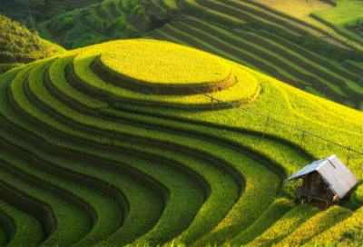 ​一次难忘的批评优秀作文范文