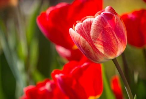 1691770518648254.png image.png