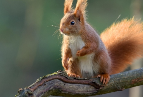 1691770684536126.png image.png