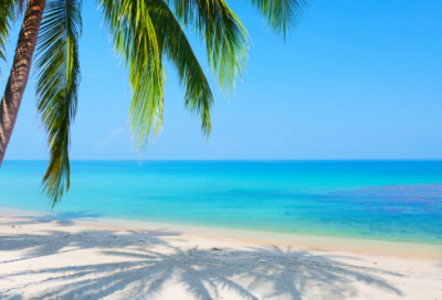 ​白雪歌送武判官归京岑参（白雪歌送武判官归京题目解析）