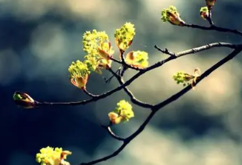 1691771347650305.png image.png