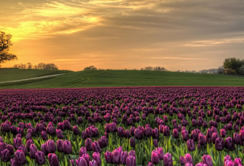 1691772177144146.png image.png