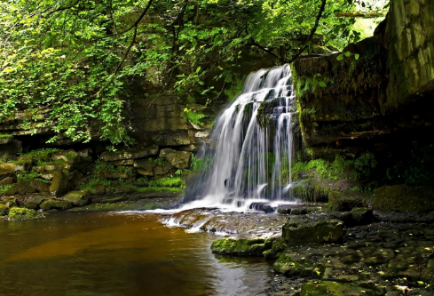 1691773836430890.png image.png