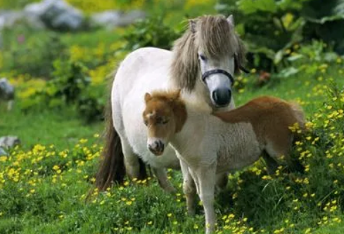 1691774167127877.png image.png