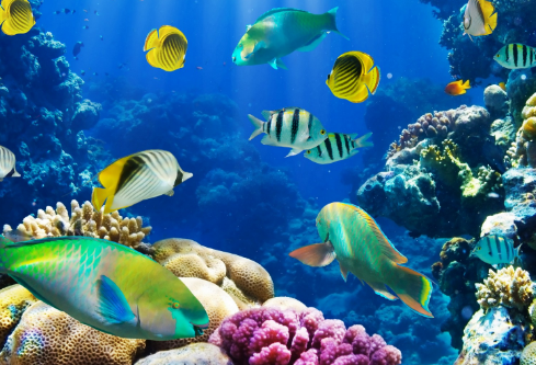 1691774665934456.png image.png