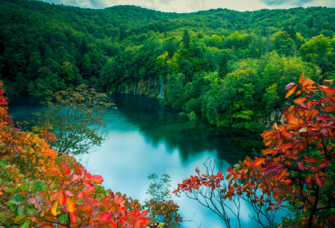 1691774831595110.png image.png