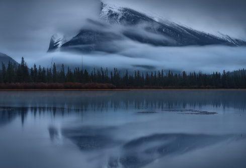 1691775495944860.png image.png