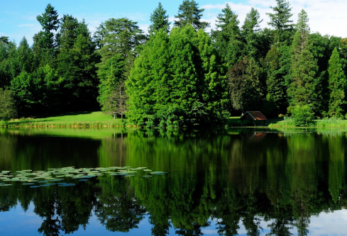 1691776159419860.png image.png